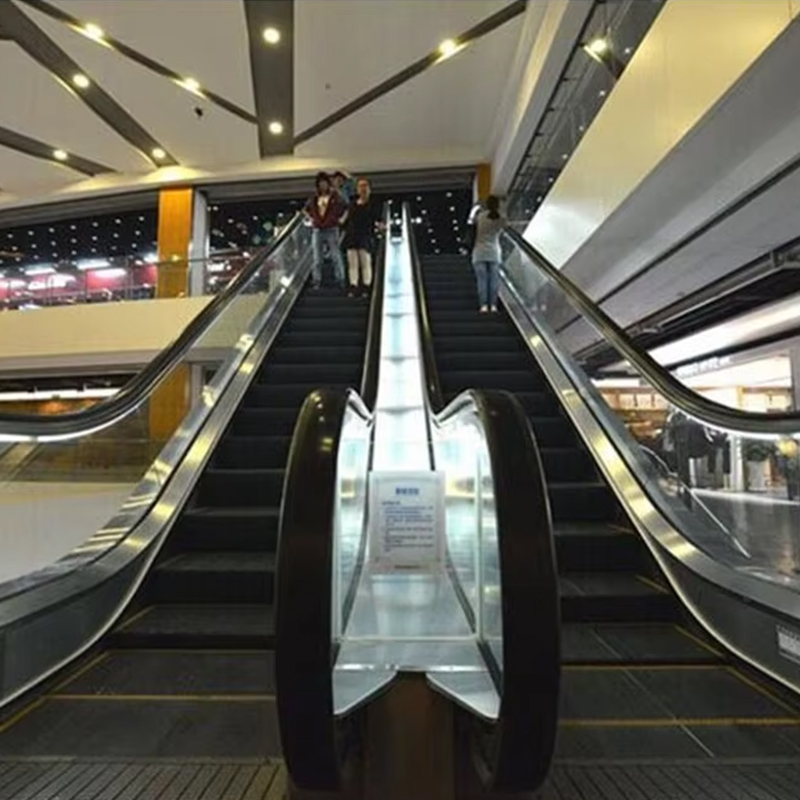 VTES102 0.5m_s Speed ​​Elevator سلالم متحركة خارجية وممرات متحركة بسعر المصنع