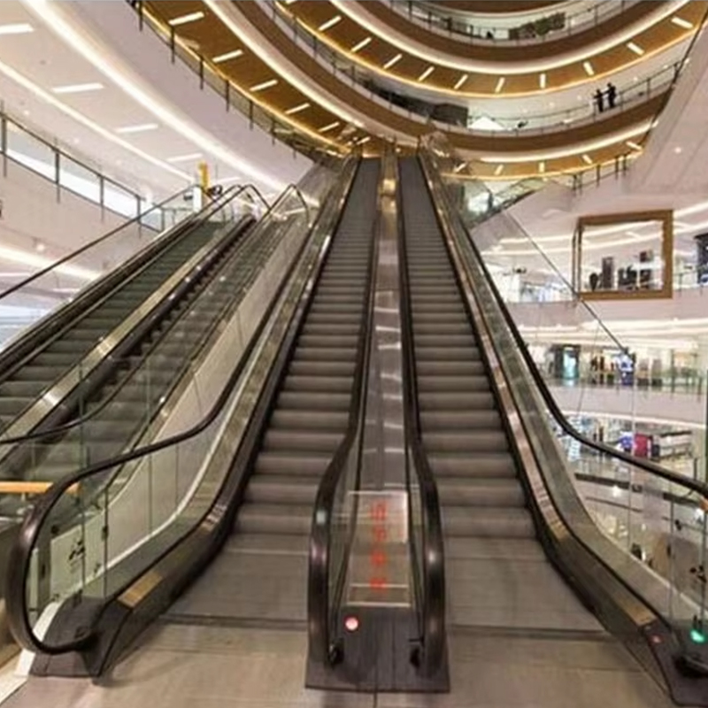 VTES102 0.5m_s Speed ​​Elevator سلالم متحركة خارجية وممرات متحركة بسعر المصنع