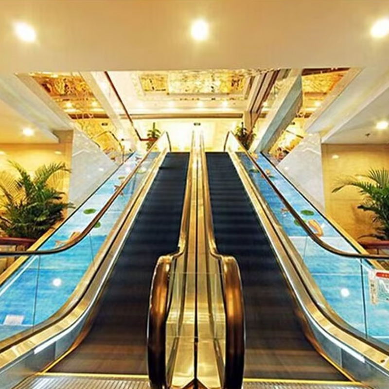VTES102 0.5m_s Speed ​​Elevator سلالم متحركة خارجية وممرات متحركة بسعر المصنع