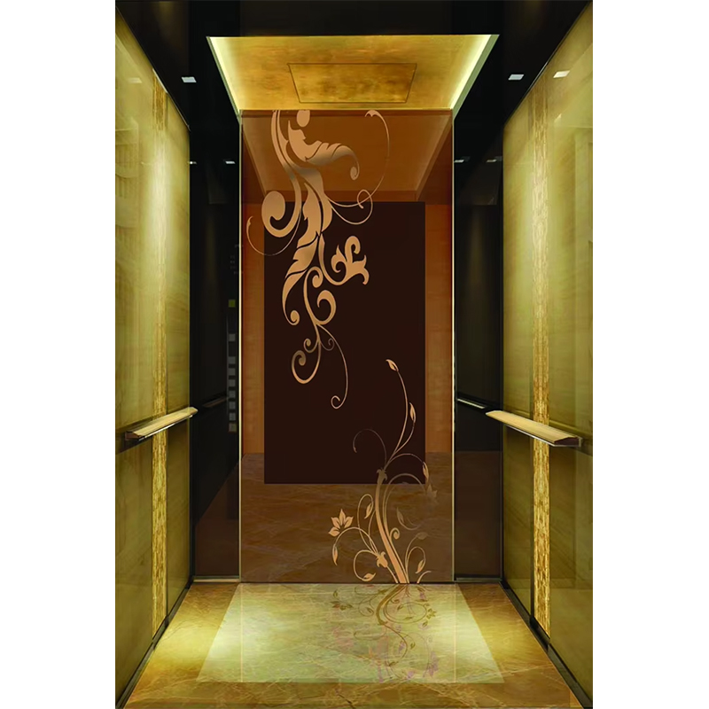 كابينة مصعد الفندق الفاخرة VTSP133 مع تصميم معاصر من الفولاذ المقاوم للصدأ الفاخر حسب الطلب ضمان لمدة سنة واحدة