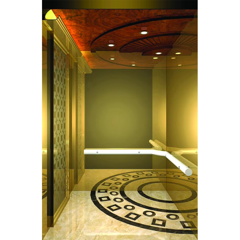 كابينة مصعد الفندق الفاخرة VTSP133 مع تصميم معاصر من الفولاذ المقاوم للصدأ الفاخر حسب الطلب ضمان لمدة سنة واحدة
