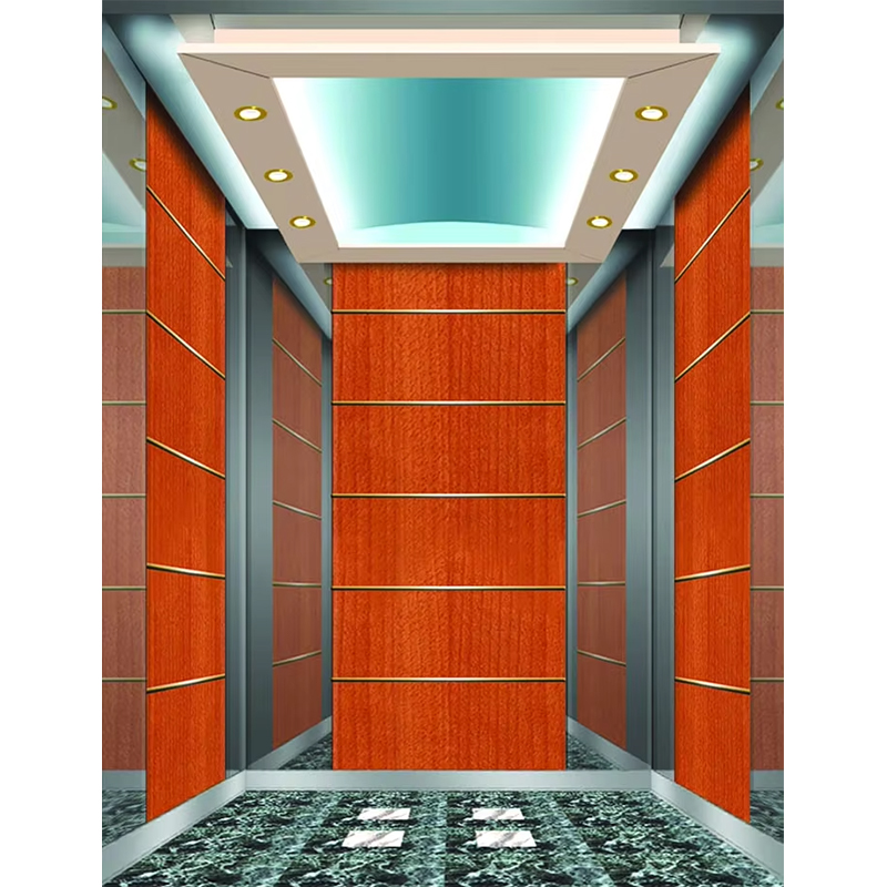 كابينة مصعد الفندق الفاخرة VTSP133 مع تصميم معاصر من الفولاذ المقاوم للصدأ الفاخر حسب الطلب ضمان لمدة سنة واحدة