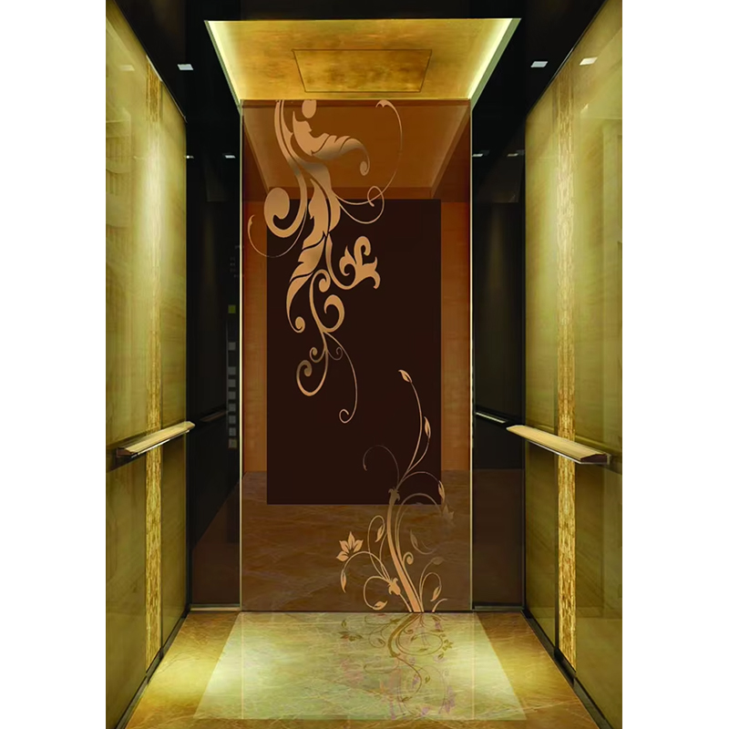 قطع غيار وإكسسوارات المصاعد VTSP135 مقصورة مصعد الركاب التجارية مع ألواح حائط مضادة للخدش