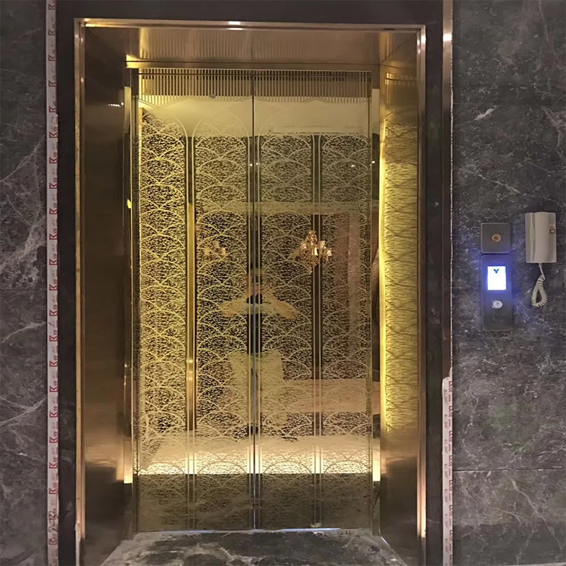 قطع غيار وإكسسوارات المصاعد VTSP136 كابينة مصعد الركاب مع إضاءة LED وديكور متميز