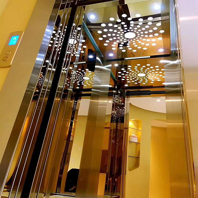 قطع غيار وإكسسوارات المصاعد VTSP136 كابينة مصعد الركاب مع إضاءة LED وديكور متميز