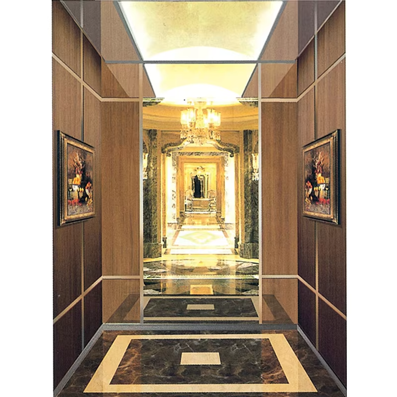 قطع غيار وإكسسوارات المصاعد VTSP126 كابينة مصعد الركاب مع الديكور الداخلي الحديث