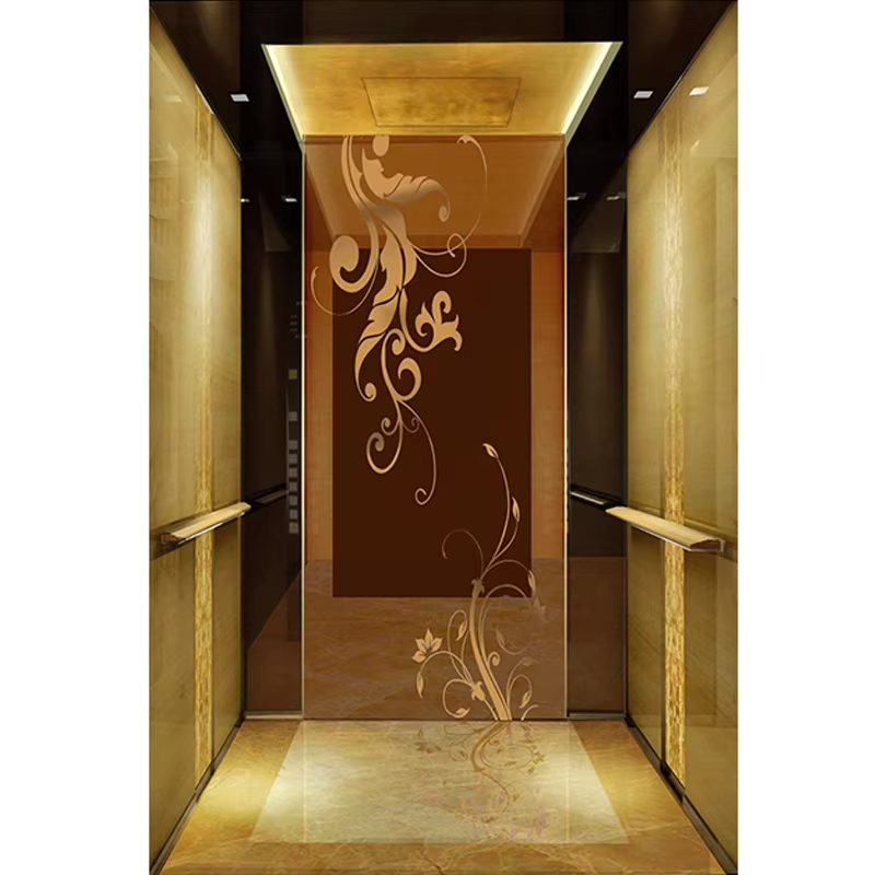 قطع غيار وإكسسوارات المصاعد VTSP126 كابينة مصعد الركاب مع الديكور الداخلي الحديث